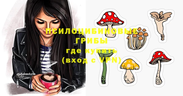 экстази Елабуга