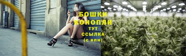 дживик Тайга